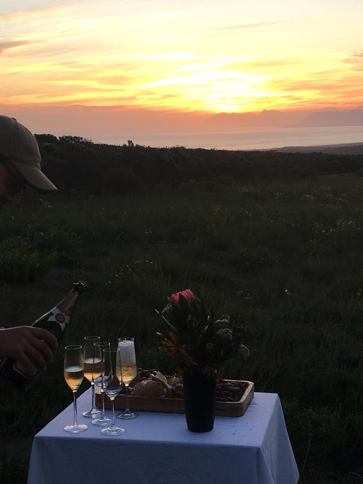 South African sundowners at sunset